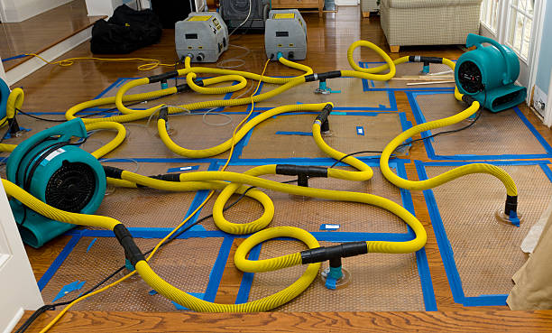 Professional Burst Pipe Water Damage technician working in Paris, ME